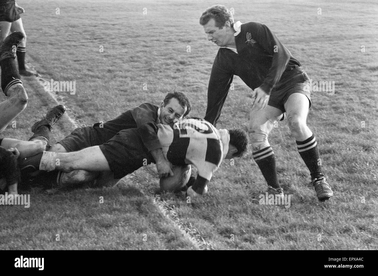 London Wasps v Cardiff, Rugby Union corrispondono a Sudbury, 18 novembre 1967. Cardiff's n. 2 g Davies va oltre la linea con un punteggio provare nella prima metà del gioco. Foto Stock