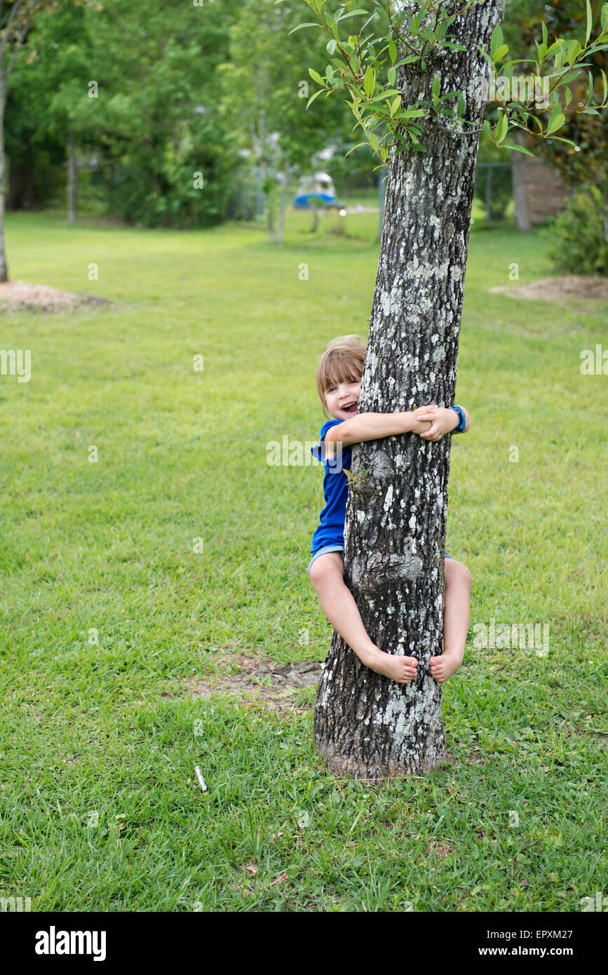 Ragazza giovane abbracci un albero con le braccia e le gambe Foto Stock