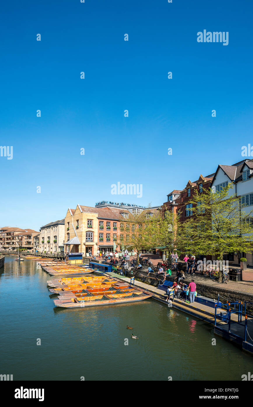 Sterline a riposo lungo il fiume Cam in Cambridge, Regno Unito Foto Stock