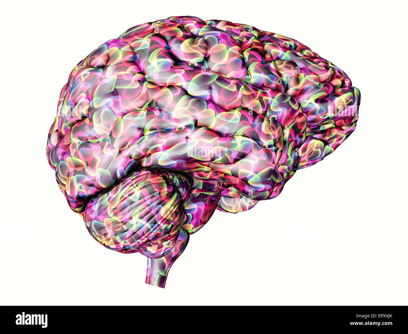 Il cervello. Calcolatore astratto illustrazione di una vista laterale di un cervello umano. Foto Stock