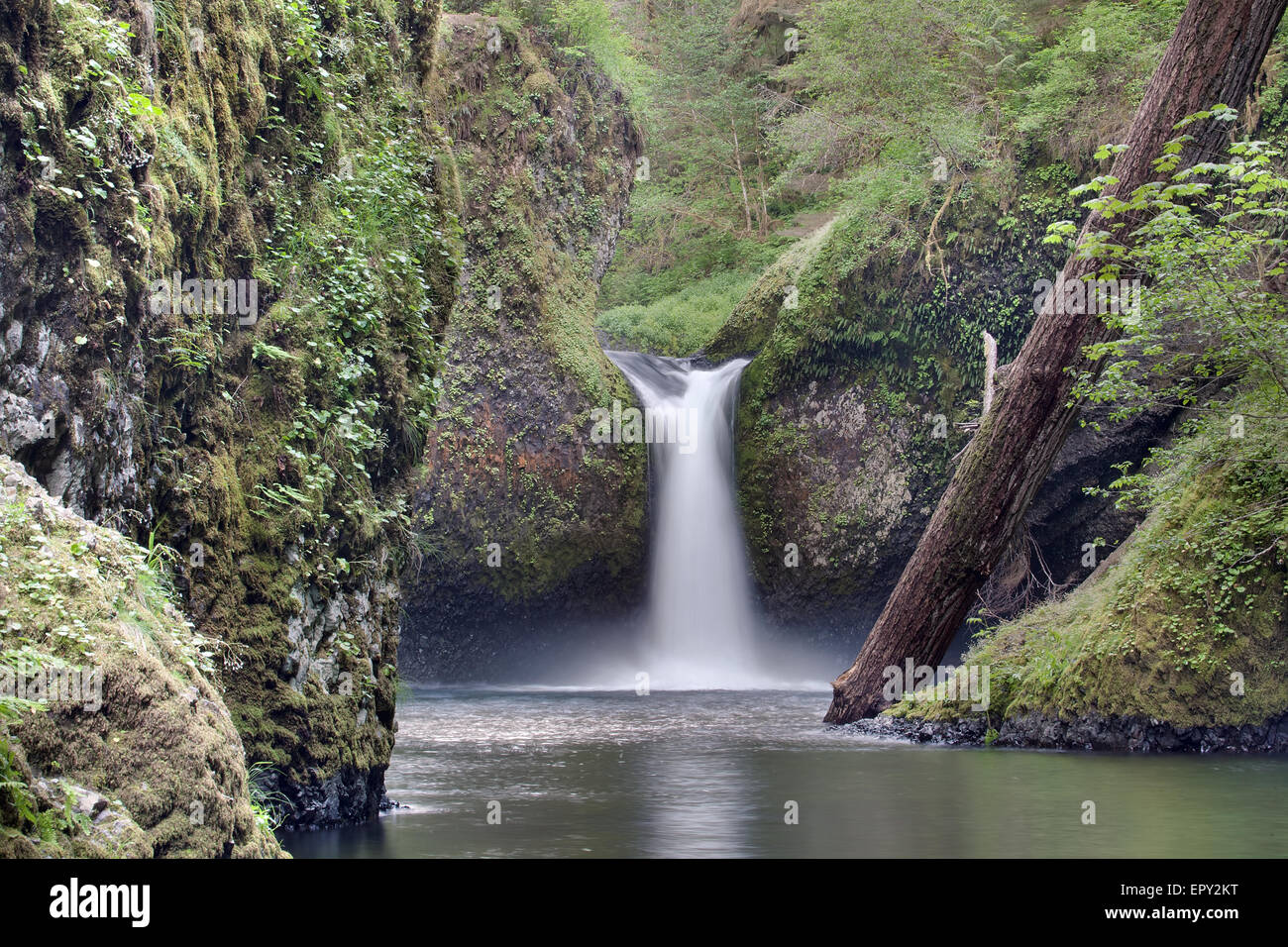 Punch Bowl Falls a Eagle Creek sentieri nel Columbia River Gorge National Scenic Forest Closeup Foto Stock