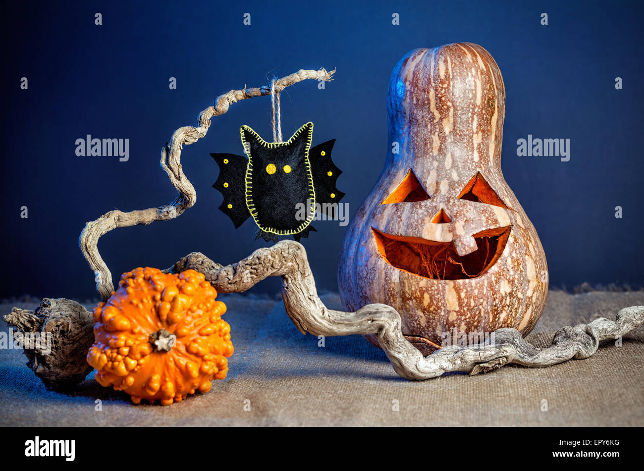 La zucca intagliata e nero bat dal feltro sul ramo a festa di Halloween Foto Stock