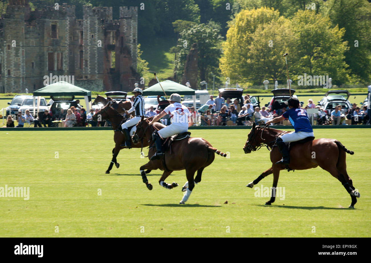 Partita di polo al Cowdray Park Foto Stock