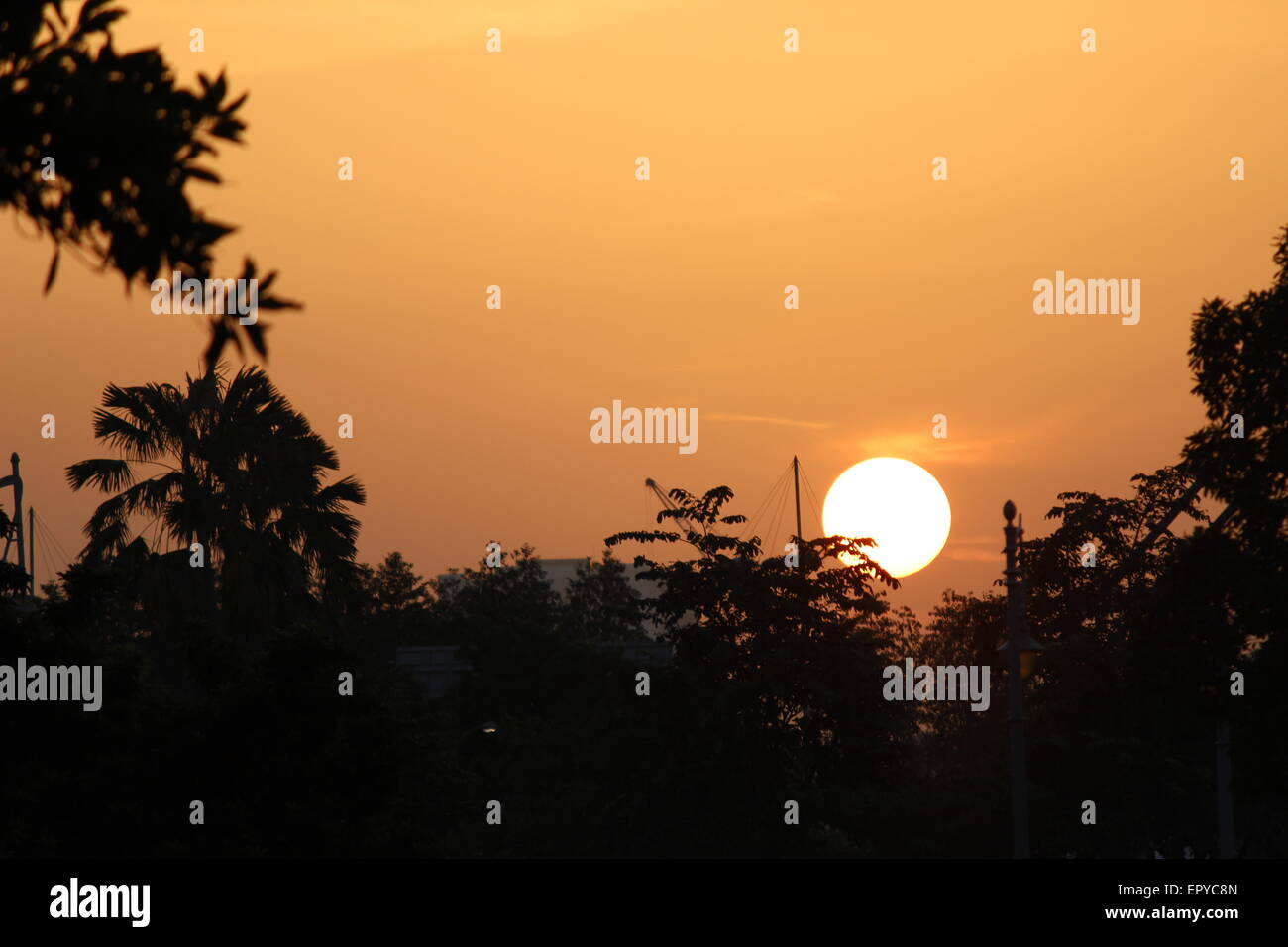 Tramonto tropicale con cielo arancione Foto Stock