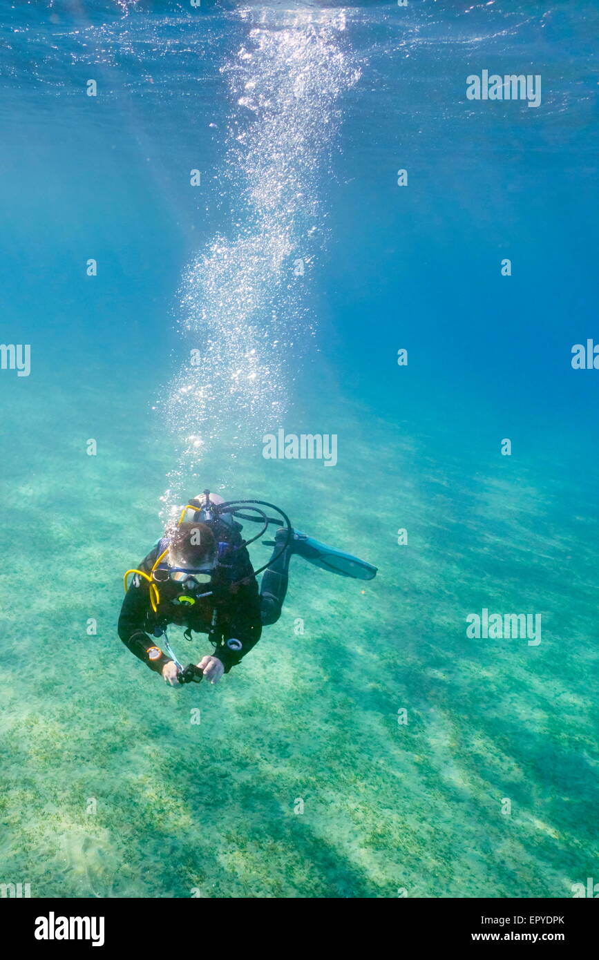 Singolo subacqueo, Marsa Alam, Mar Rosso, Egitto Foto Stock