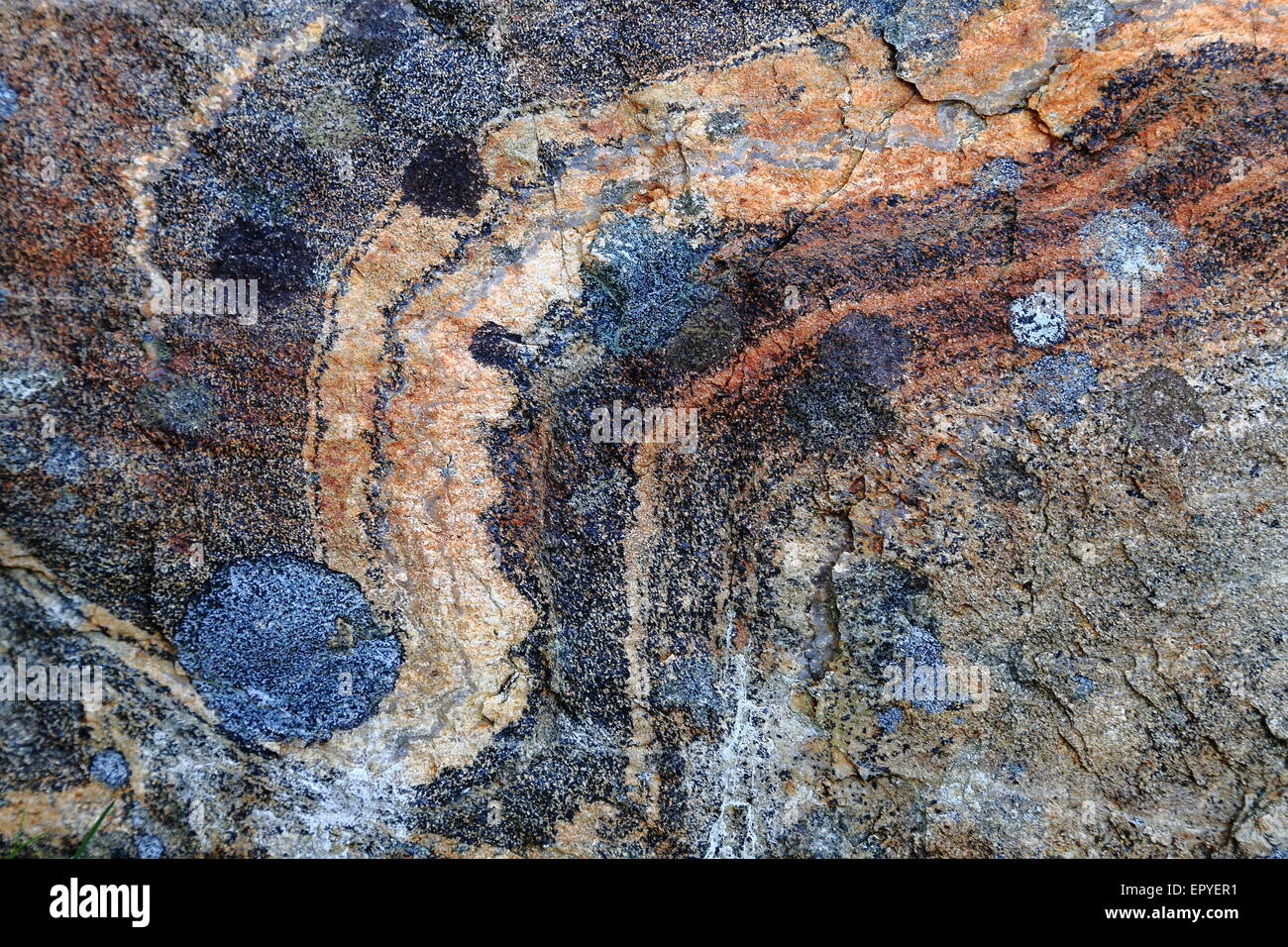 Dettaglio di roccia, Harris Isola, Ebridi Esterne, Scotland, Regno Unito Foto Stock