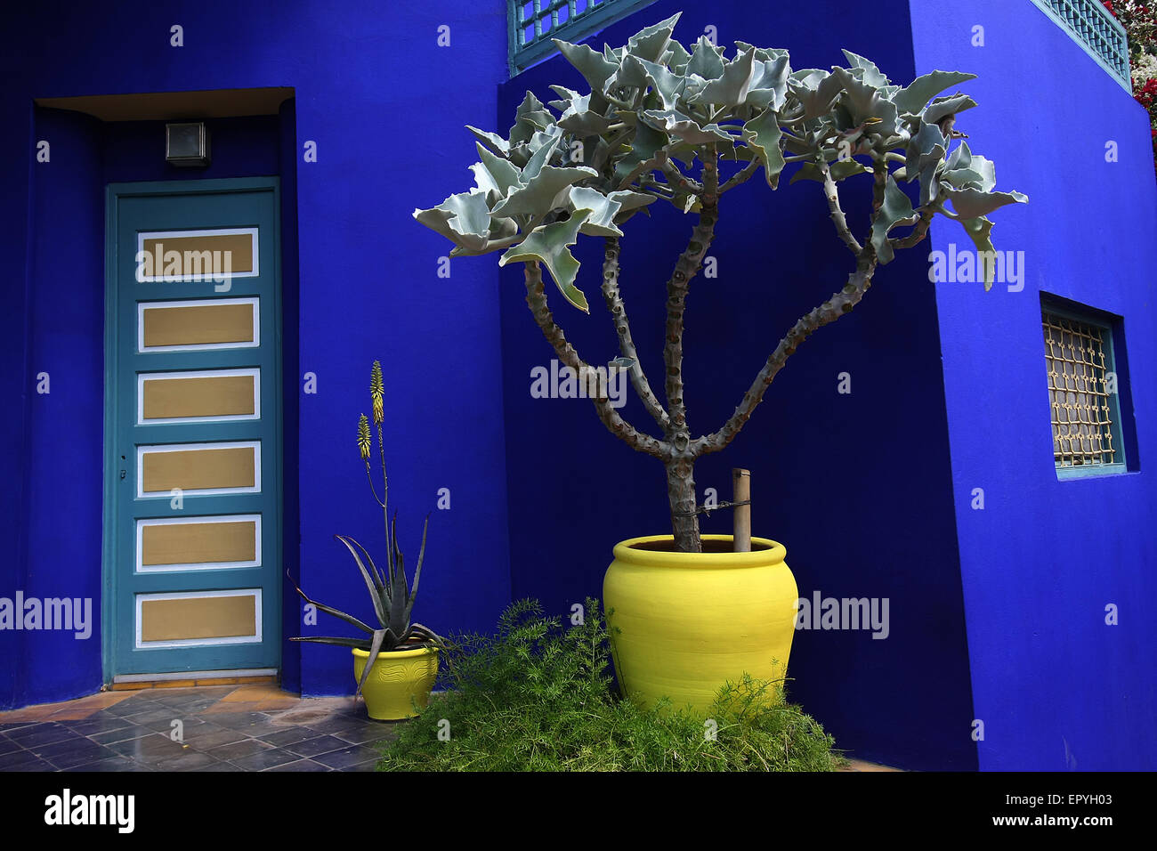 La casa blu della stilista francese Yves Saint Laurent nel Jardin Majorelle.Marrakech.Marocco.Africa Foto Stock