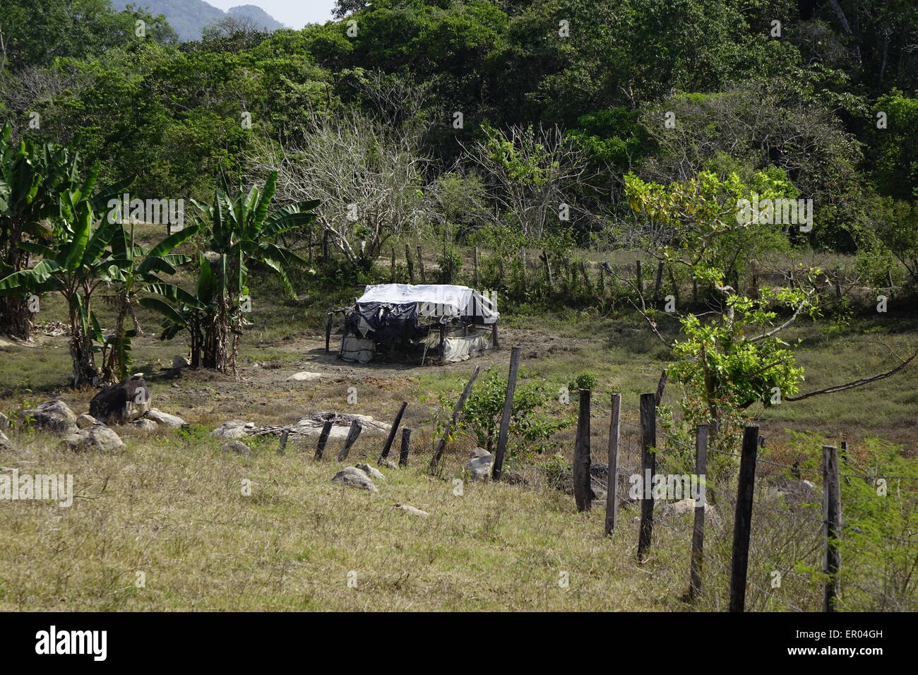 Capanna rustica, agriturismo, El tuito, Jalisco, Messico Foto Stock