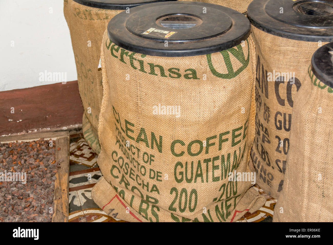 Sacco di chicchi di caffè presso il Choco Museo o il museo del cioccolato in Antigua Guatemala Foto Stock