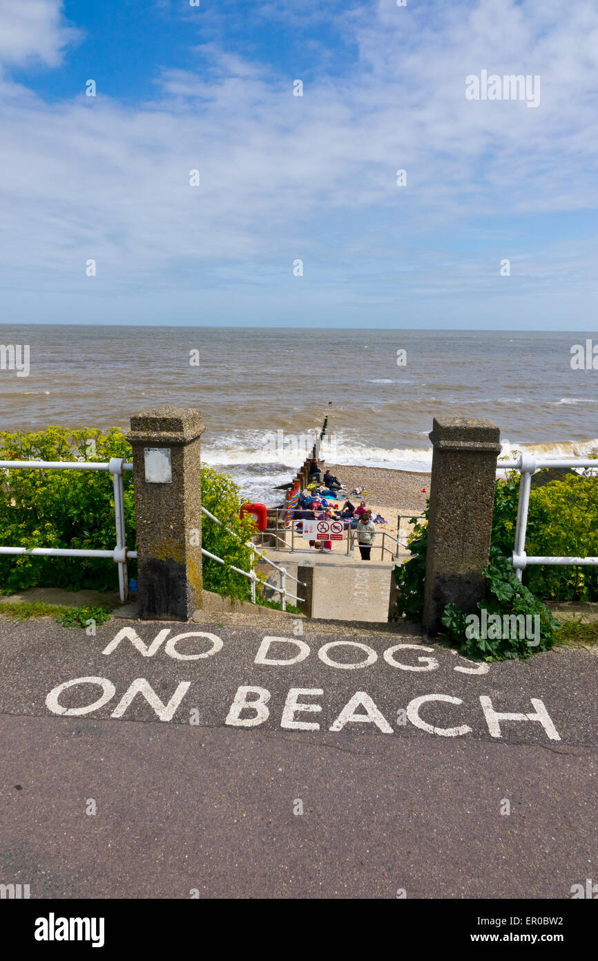 No cani sulla spiaggia segno Foto Stock