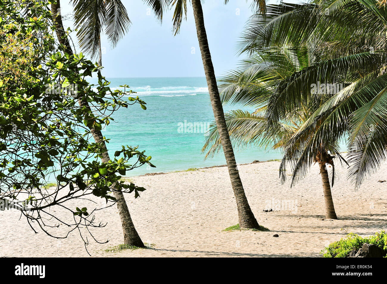 Spiaggia da sogno in Africa Foto Stock