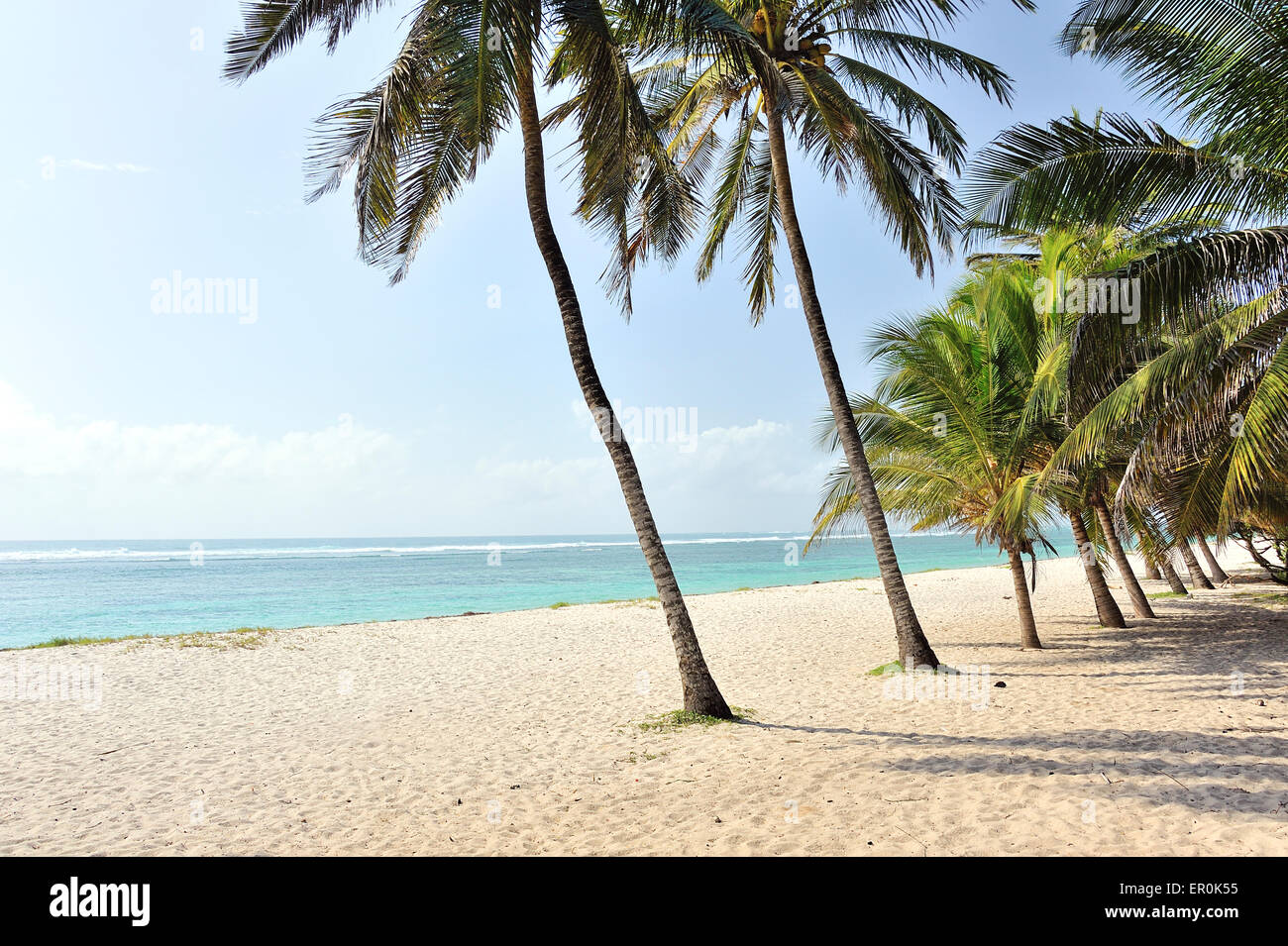 Spiaggia di sabbia sotto le palme vicino a Mombasa Foto Stock