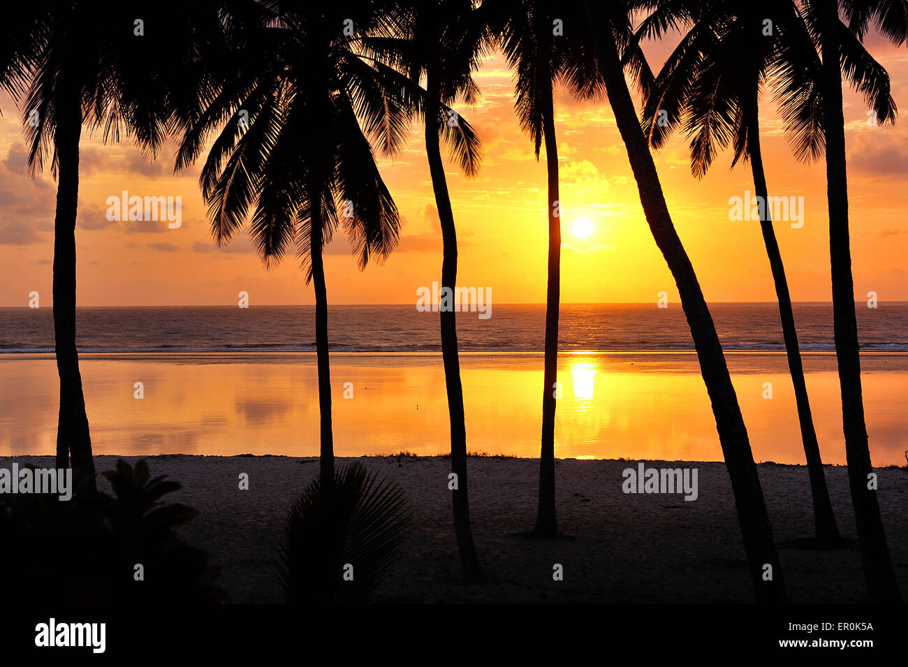 Splendida alba su una spiaggia con palme Foto Stock