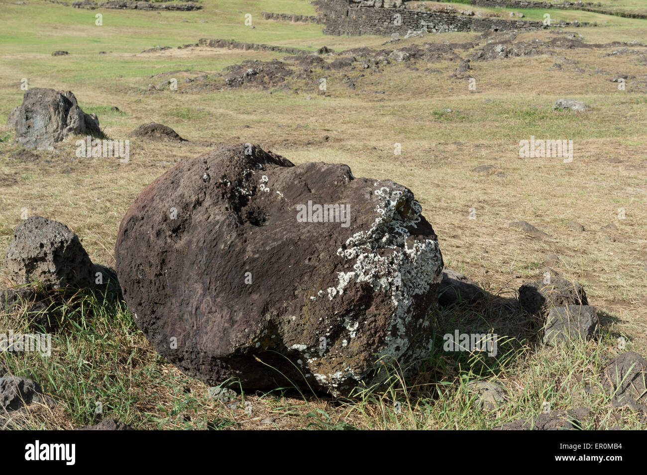 Capo di un caduto Moai, Tahai complesso cerimoniale, Hanga Roa, Parco Nazionale di Rapa Nui, Isola di Pasqua, Cile, Patrimonio Mondiale dell Unesco Foto Stock