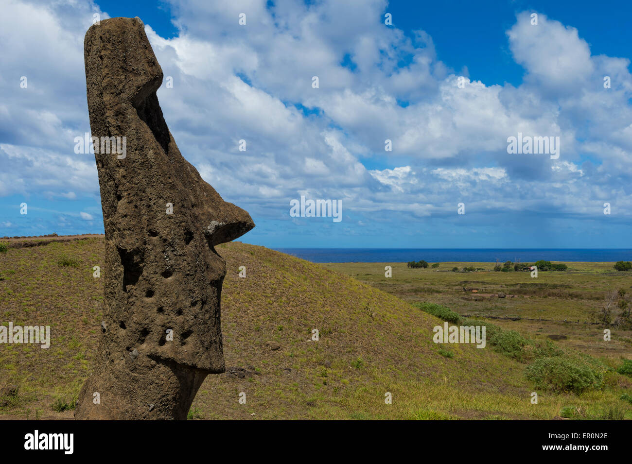 Moai in Rano Raraku, Parco Nazionale di Rapa Nui, Isola di Pasqua, Cile, Patrimonio Mondiale dell Unesco Foto Stock