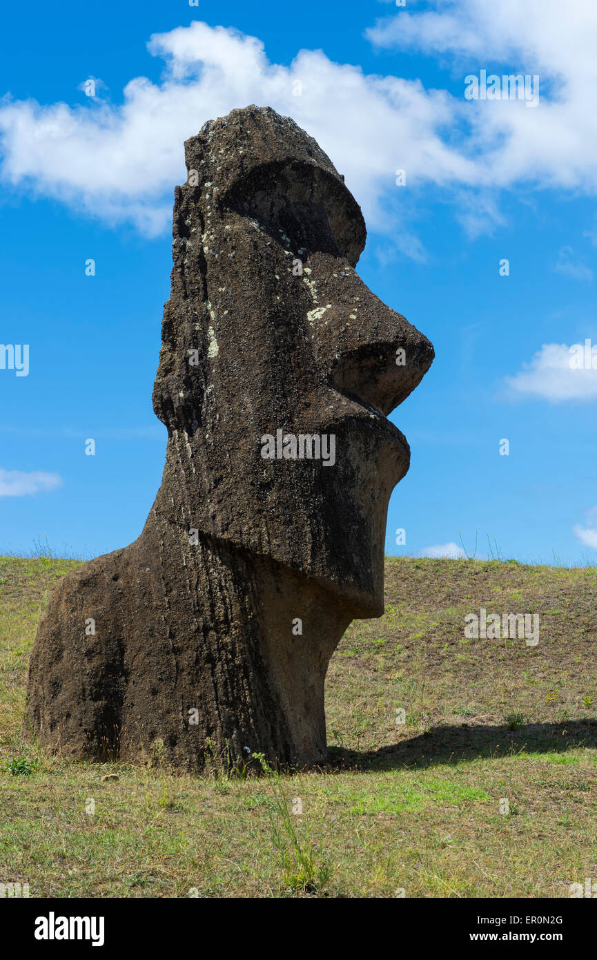 Moai in Rano Raraku, Parco Nazionale di Rapa Nui, Isola di Pasqua, Cile, Patrimonio Mondiale dell Unesco Foto Stock