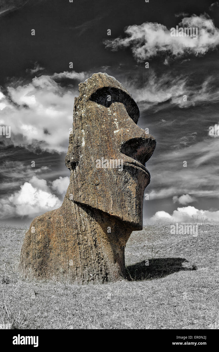 Moai in Rano Raraku, Parco Nazionale di Rapa Nui, Isola di Pasqua, Cile, Patrimonio Mondiale dell Unesco Foto Stock