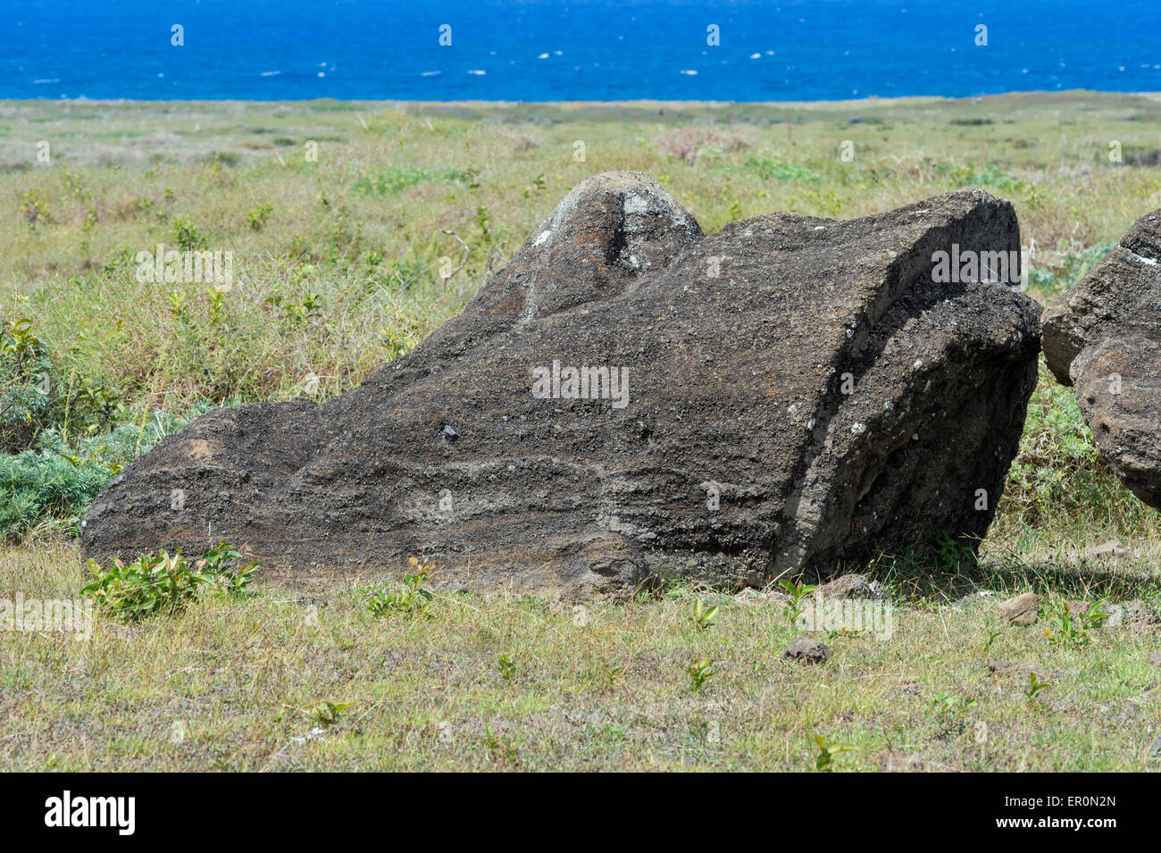 Moai in Rano Raraku, Parco Nazionale di Rapa Nui, Isola di Pasqua, Cile, Patrimonio Mondiale dell Unesco Foto Stock