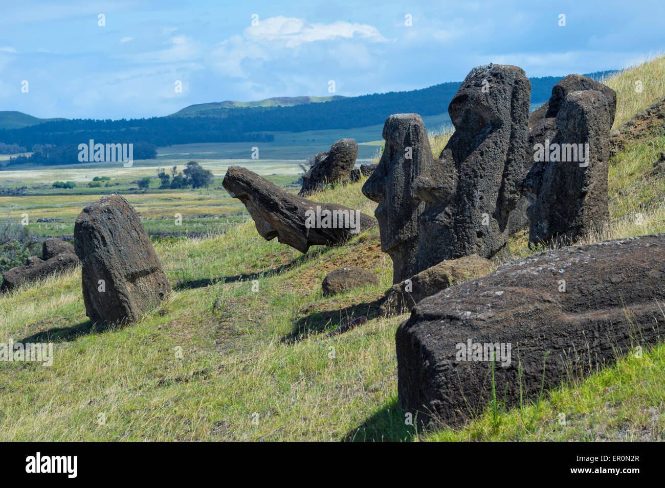 Moais in Rano Raraku, Parco Nazionale di Rapa Nui, Isola di Pasqua, Cile, Patrimonio Mondiale dell Unesco Foto Stock