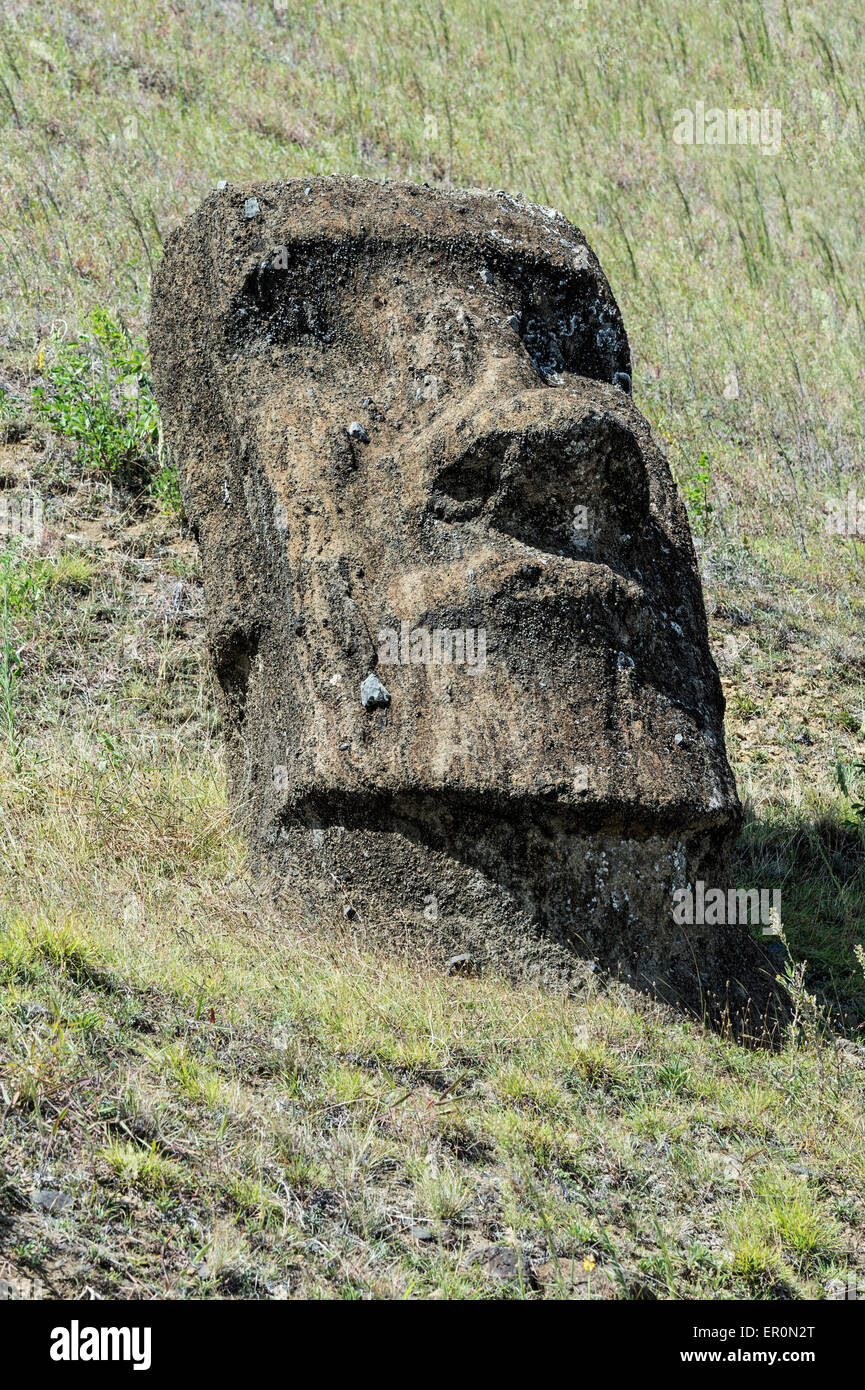Moai in Rano Raraku, Parco Nazionale di Rapa Nui, Isola di Pasqua, Cile, Patrimonio Mondiale dell Unesco Foto Stock