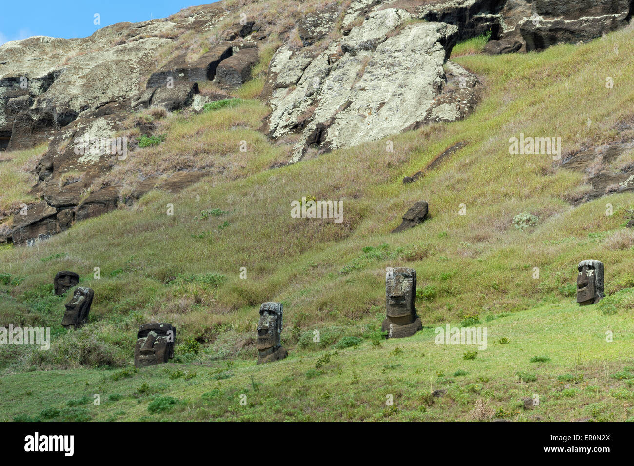 Moais sui fianchi di Rano Raraku vulcano, Parco Nazionale di Rapa Nui, Isola di Pasqua, Cile, Patrimonio Mondiale dell Unesco Foto Stock