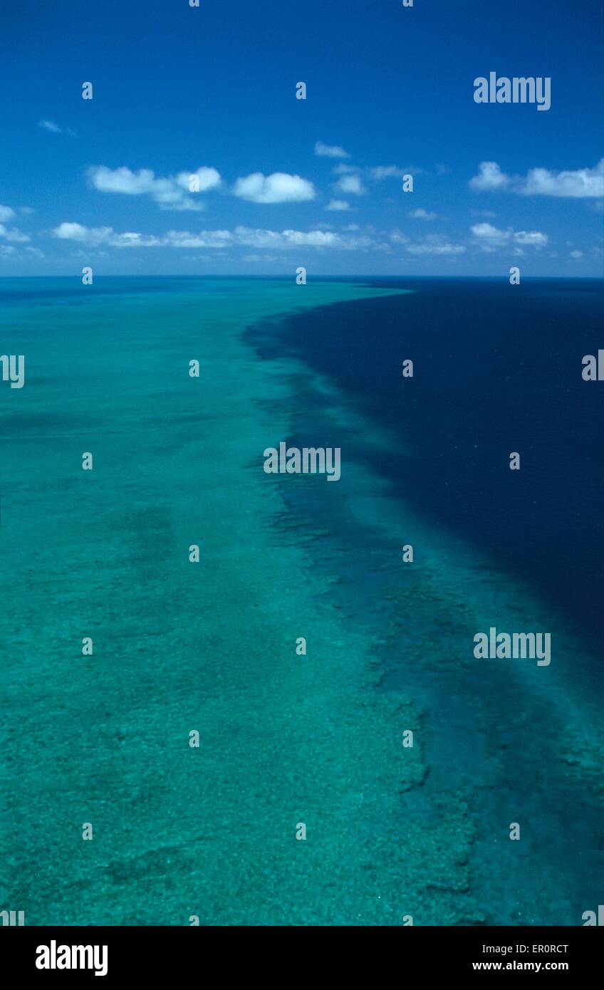 Australia, Queensland, a nord delle isole Whitsunday, Greef barriera corallina, gancio Reef (Vista aerea) Foto Stock