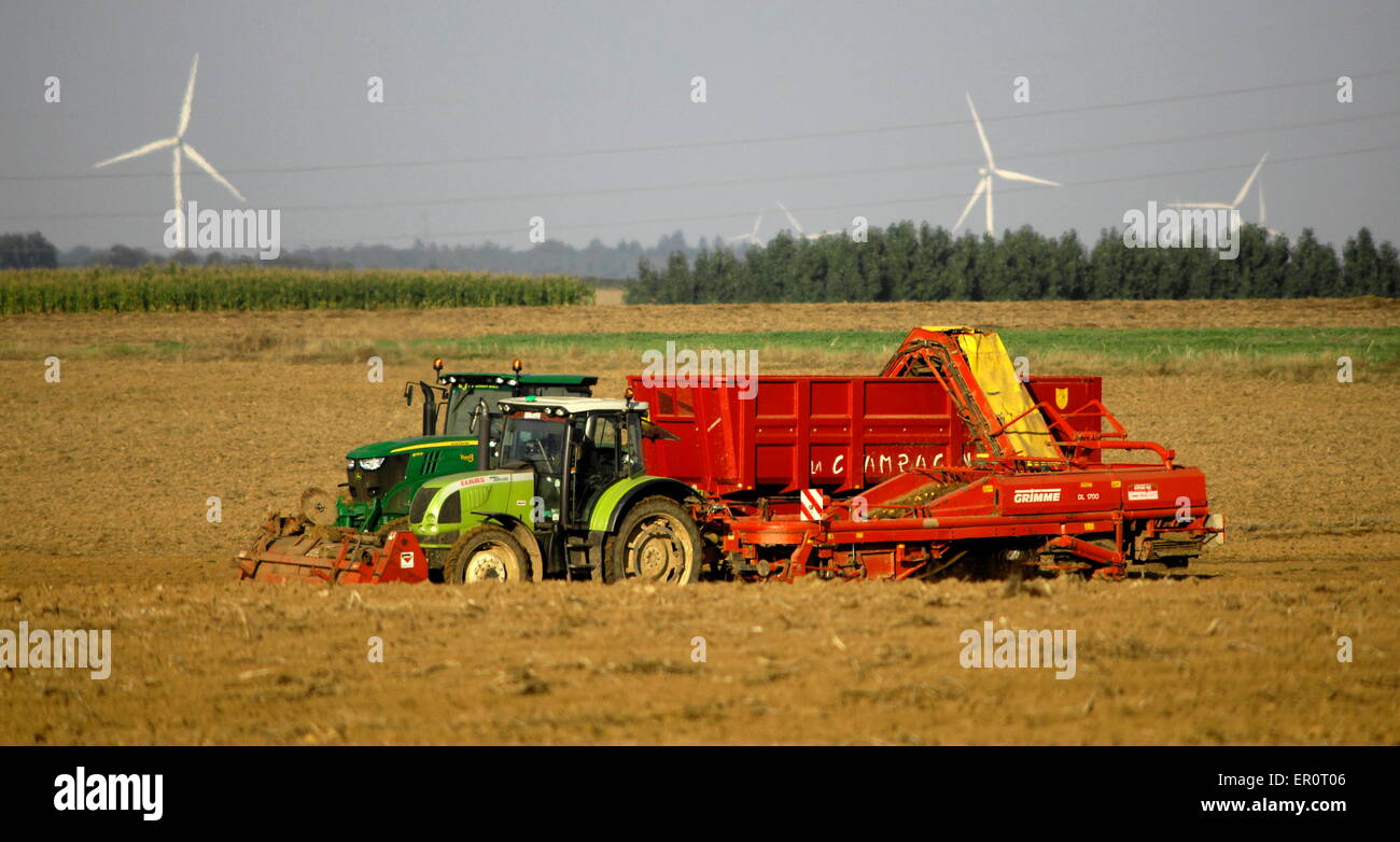 AJAXNETPHOTO. Piccardia, Francia. - Agricoltura - la raccolta di patate. Foto:JONATHAN EASTLAND/AJAX REF:D132309 3575 Foto Stock