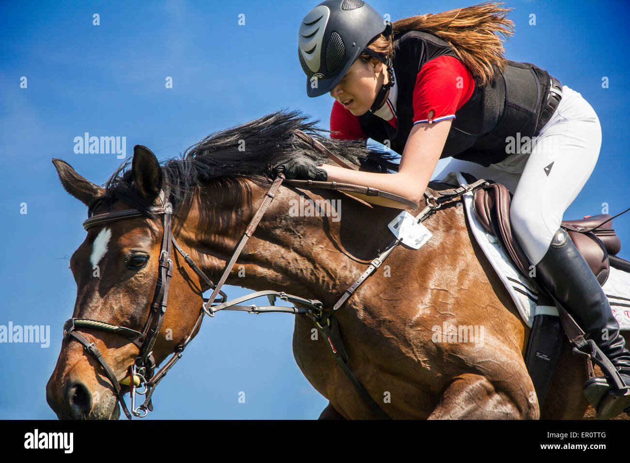 Zagabria, Croazia - 09 maggio: un pilota non identificato su un cavallo durante spettacoli equestri jumping torneo all'Ippodromo di Zagreb Foto Stock