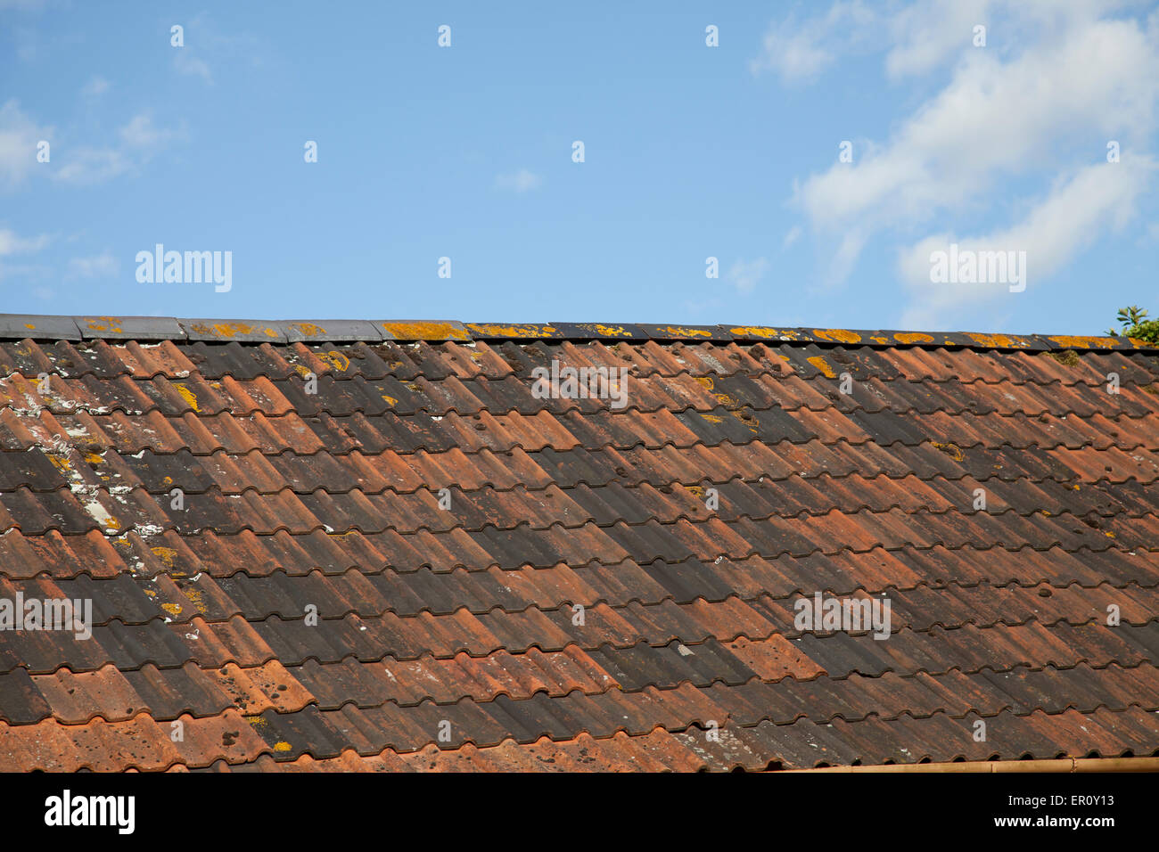 Multi colorate piastrelle romana su un tetto in inglese, impostare contro un cielo blu Foto Stock