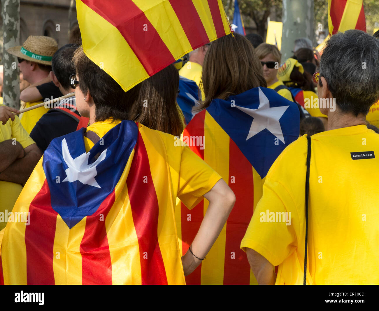 Persone che trasportano Catalogna independentist bandiera su settembre 11th, la Giornata nazionale del paese Foto Stock