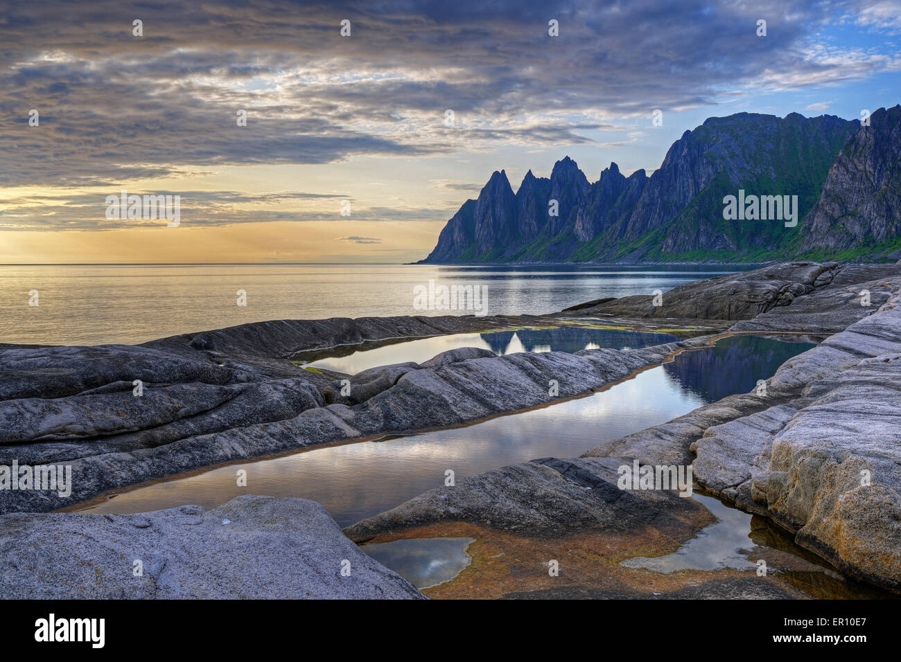 Okshornan Foto Stock