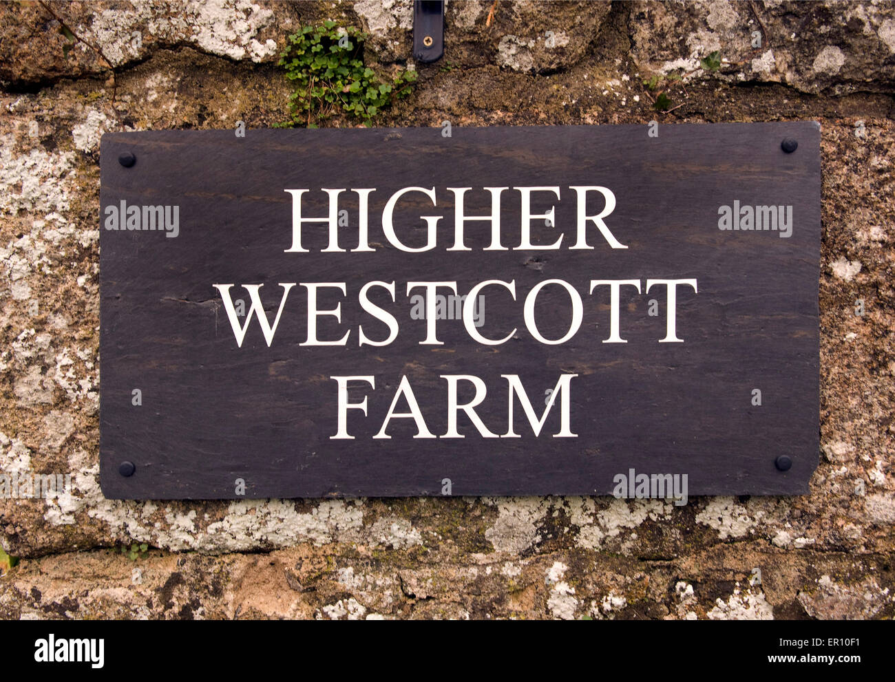 Maggiore Westcott Farm boutique hotel nel Parco Nazionale di Dartmoor in Devonshire,UK Foto Stock