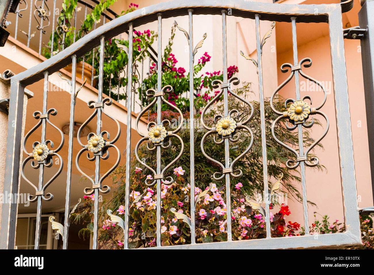 Ferro scuro grattugiato con gate metallici fiori finti simili a margherite e fiori reale di Impatiens Foto Stock