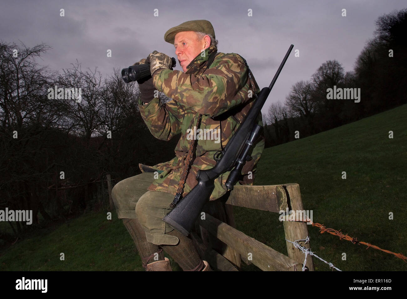Duff Hart-Davis Cervo Stalking con il suo cane e utilizzando un albero elevata piattaforma.Un REGNO UNITO girare le riprese"sport sangue'venison Foto Stock