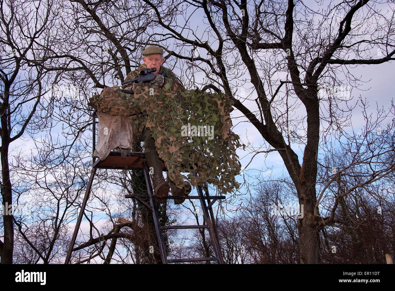 Duff Hart-Davis Cervo Stalking con il suo cane e utilizzando un albero elevata piattaforma.Un REGNO UNITO girare le riprese"sport sangue'venison Foto Stock
