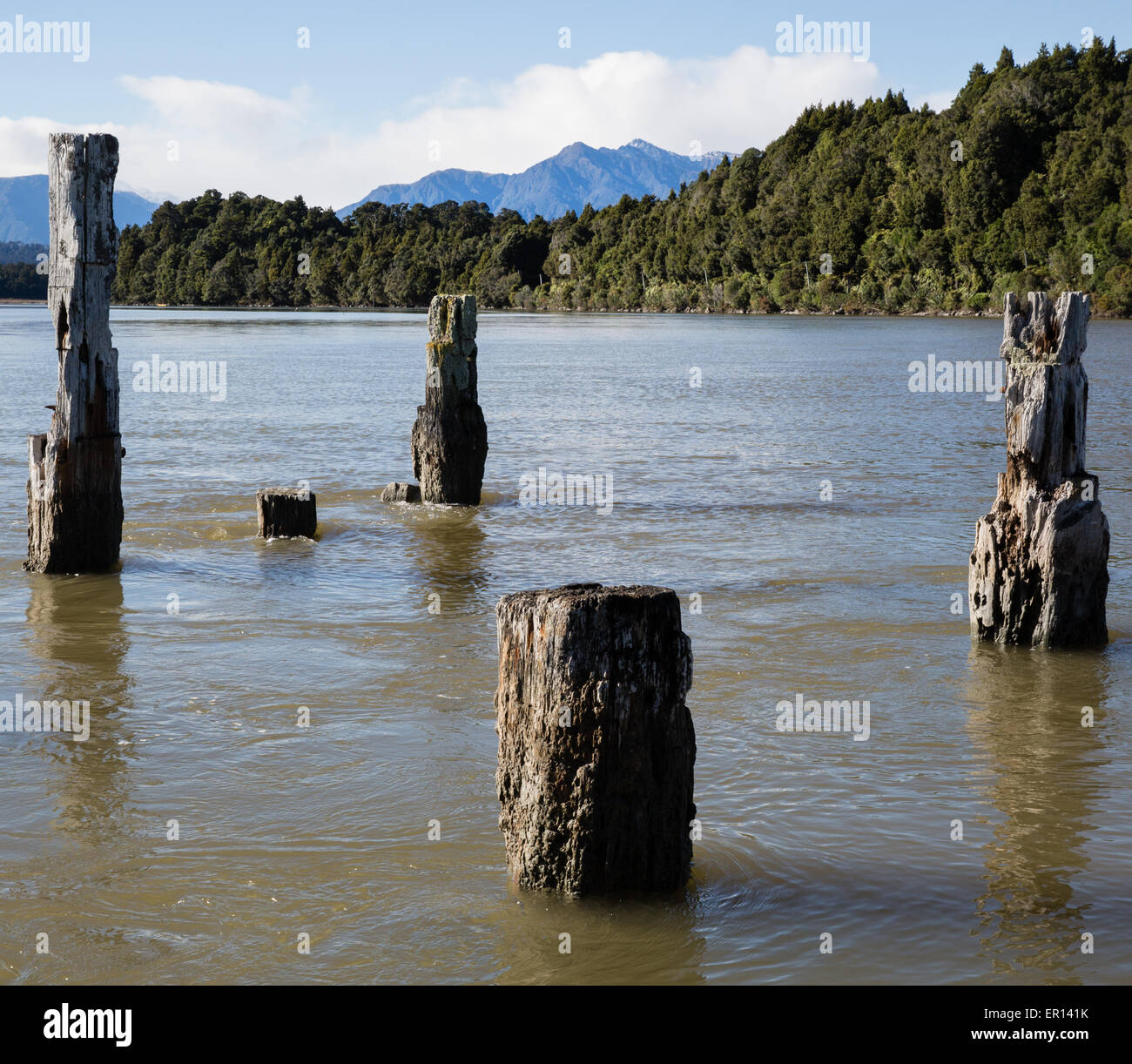 Mare weathered pile di un vecchio molo al Okarito lagoon nell'Isola del Sud della Nuova Zelanda guardando verso le Alpi Suthern Foto Stock