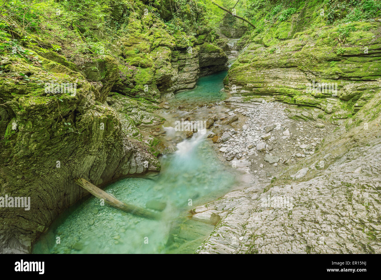 Creek con acqua pura nel profondo canyon. Foto Stock