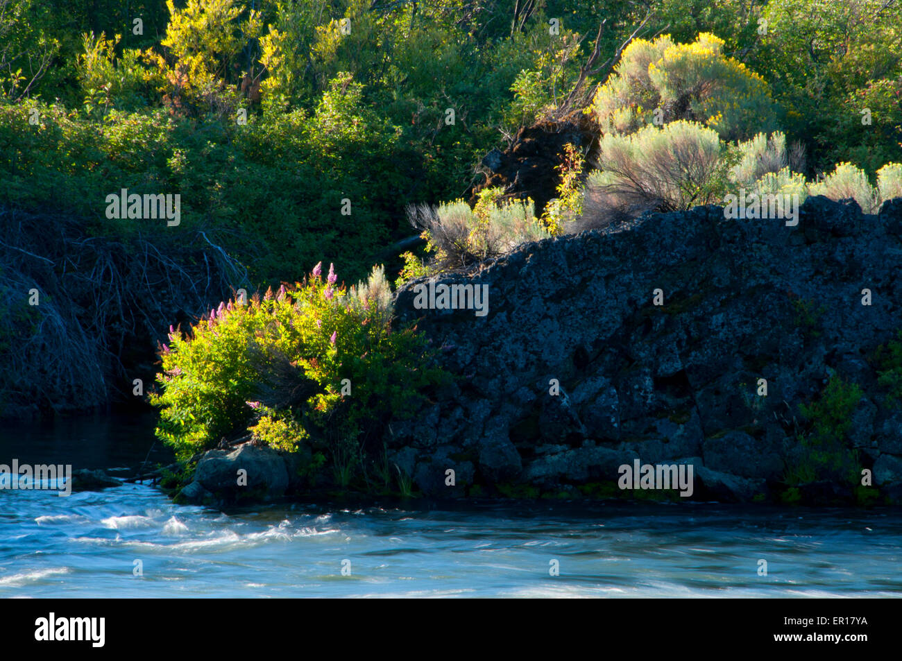 Il flusso di lava con Deschutes paesaggistico e selvaggio fiume dal fiume Deschutes Trail, Deschutes National Forest, Oregon Foto Stock