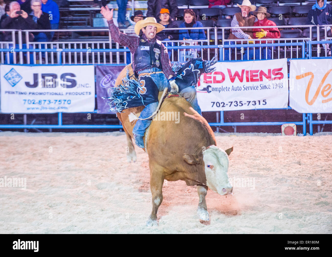 Il cowboy che partecipano a un toro di equitazione la concorrenza a Helldorado giorni Rodeo , un rodeo professionale che si terrà a Las Vegas Foto Stock