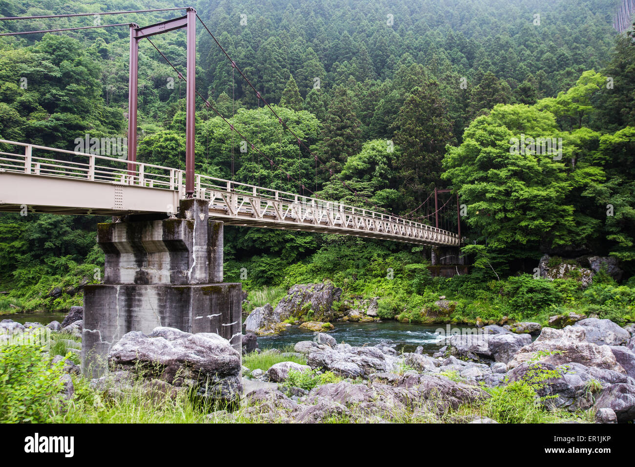 Il fiume Tama proviene in alta montagna della Prefettura di Yamanashi prima di meandri giù attraverso Kanagawa e Tokyo Foto Stock