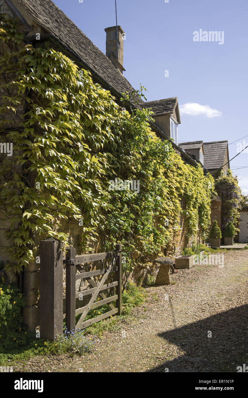Cottage cotswolds regno unito Foto Stock