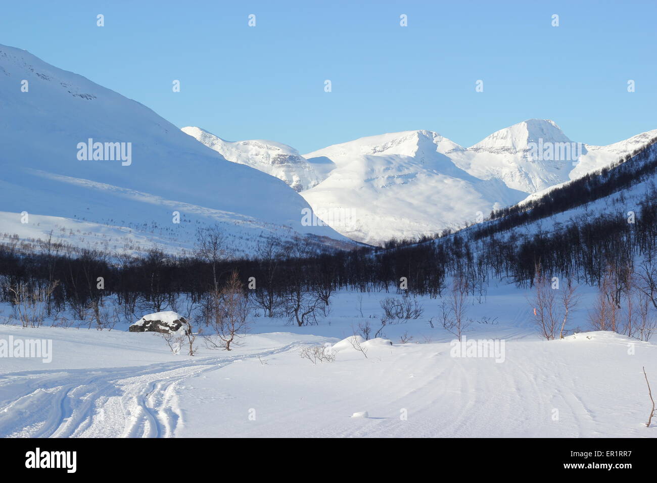 Montagne coperte di neve e alberi, Dapmotjavri, Norvegia Foto Stock
