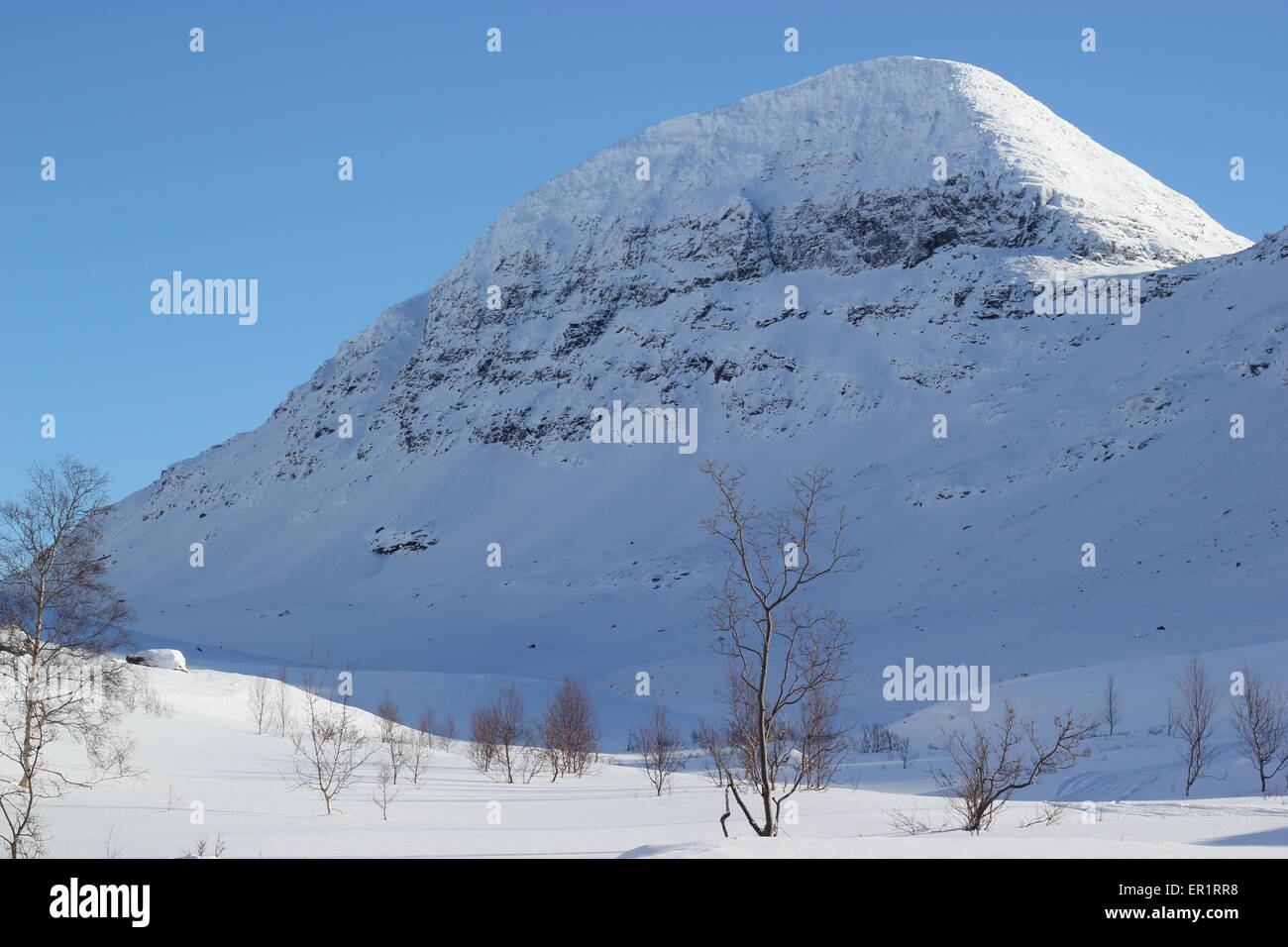 Montagne coperte di neve e alberi, Dapmotjavri, Norvegia Foto Stock