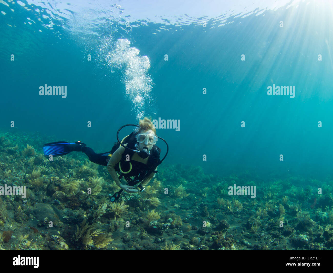 Femmina sub in bilico su una scogliera di corallo a Tulamben, Bali Indonesia Foto Stock