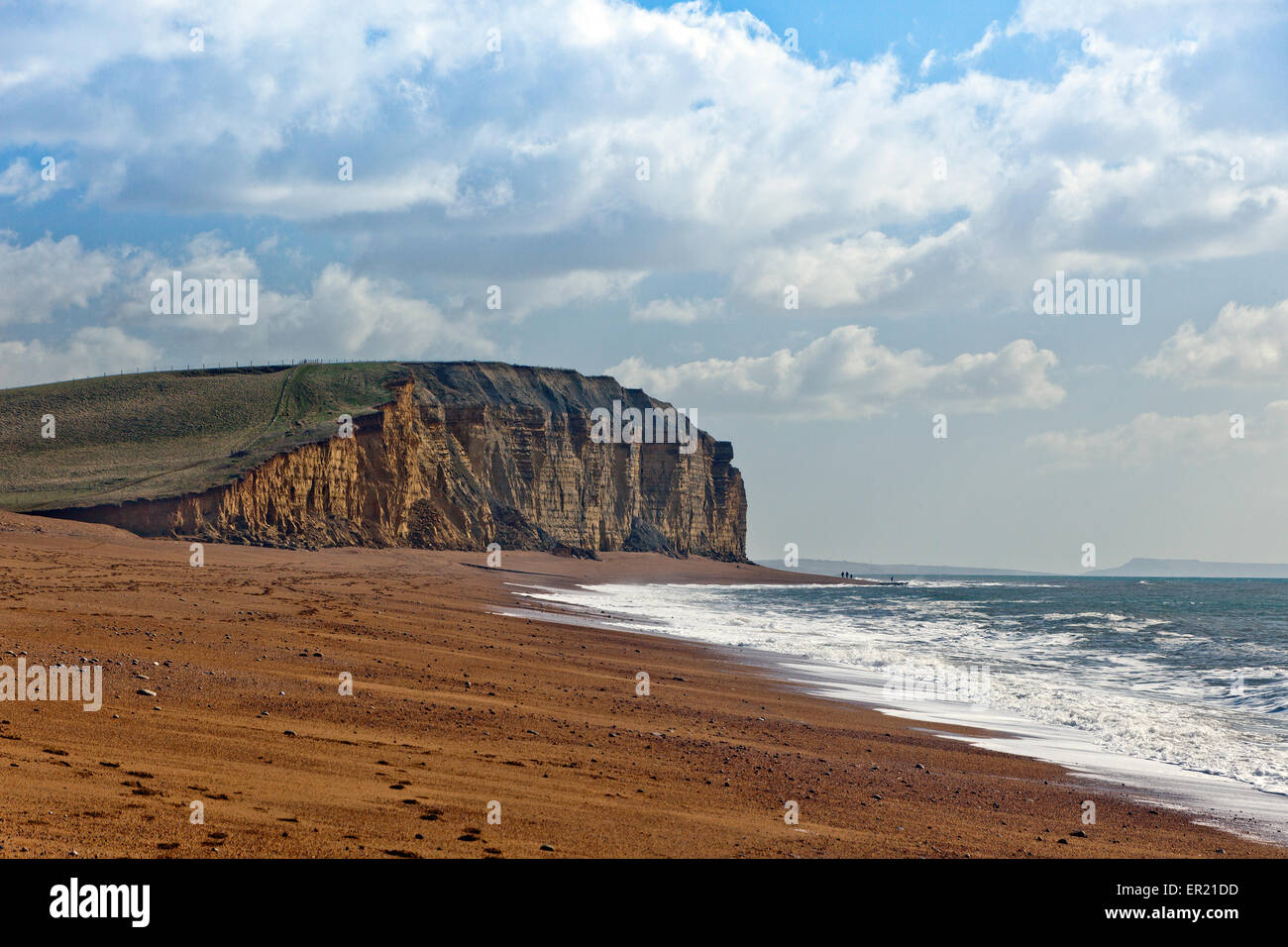 Il distintivo a bande di strati di pietra arenaria di Cliff Burton su Jurassic Coast, Dorset, England, Regno Unito Foto Stock