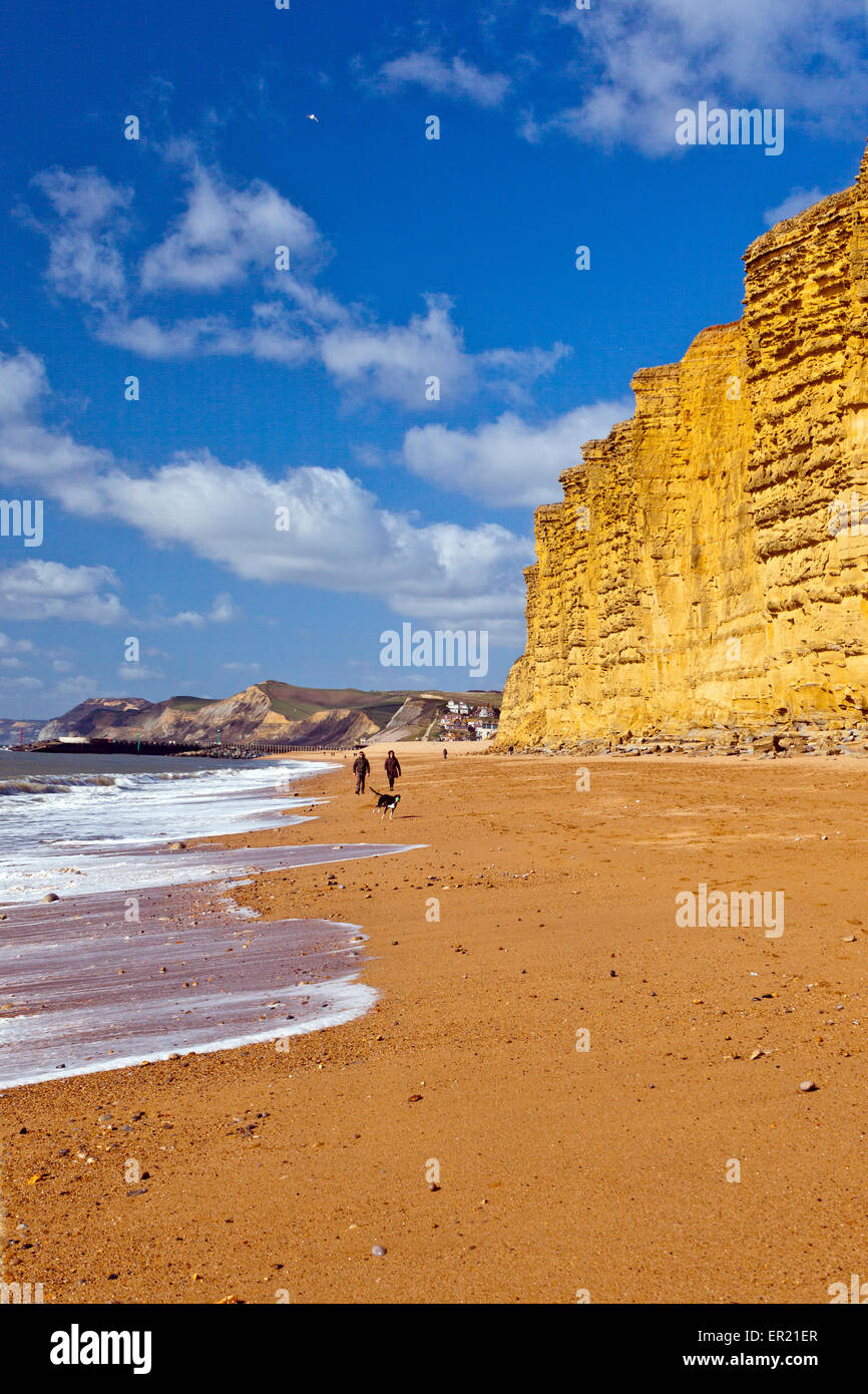 Dog walkers sulla spiaggia al di sotto delle falde di pietra arenaria di East Cliff vicino al West Bay su Jurassic Coast, Dorset, England, Regno Unito Foto Stock