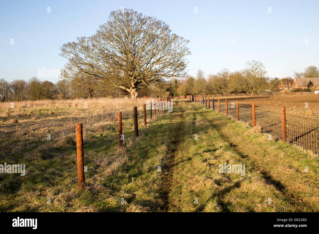 Paese tranquillo lane Sutton, Suffolk, Inghilterra, Regno Unito Foto Stock
