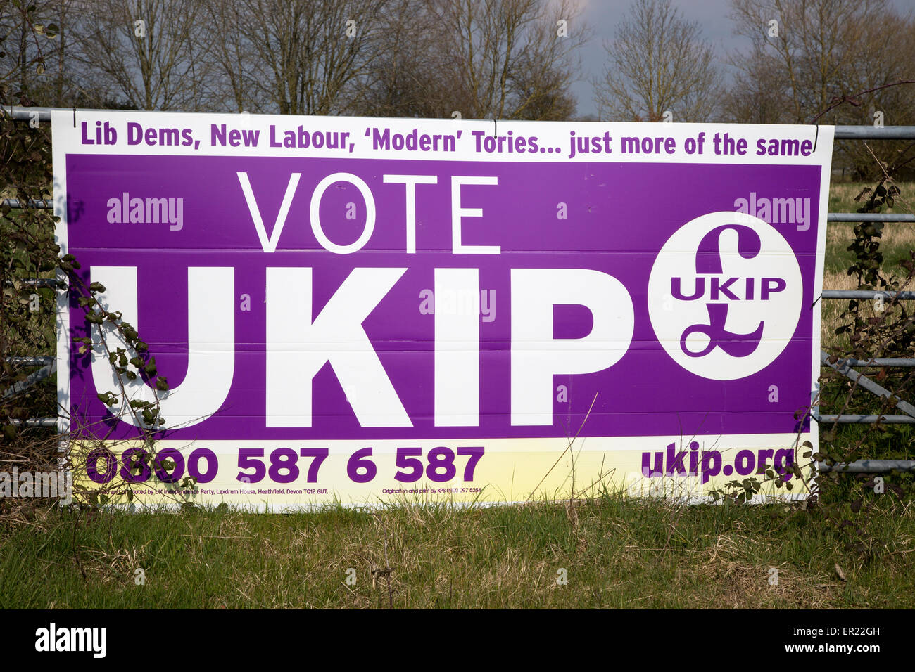 Ampio voto UKIP banner poster Maggio 2015 elezioni generali britanniche, Wiltshire, Inghilterra, Regno Unito Foto Stock