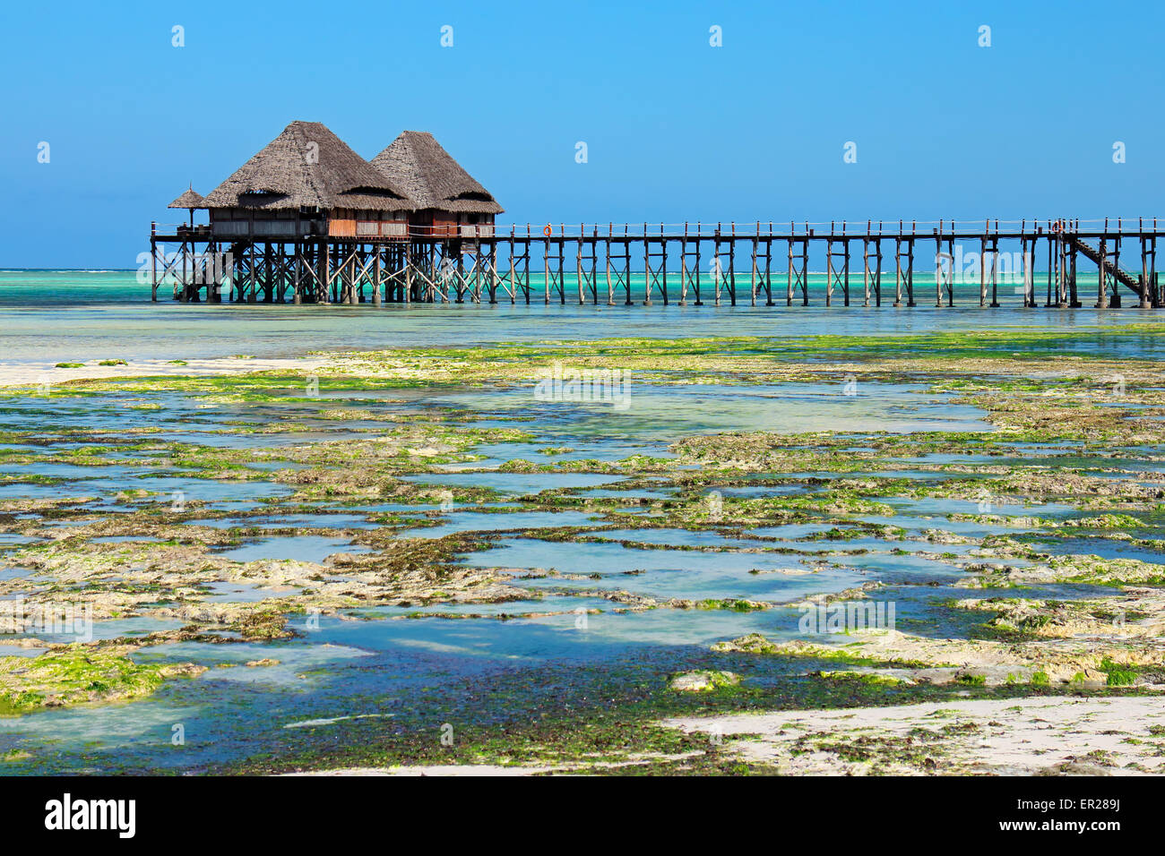 Il molo di legno e tetti di paglia su una spiaggia tropicale, isola di Zanzibar Foto Stock