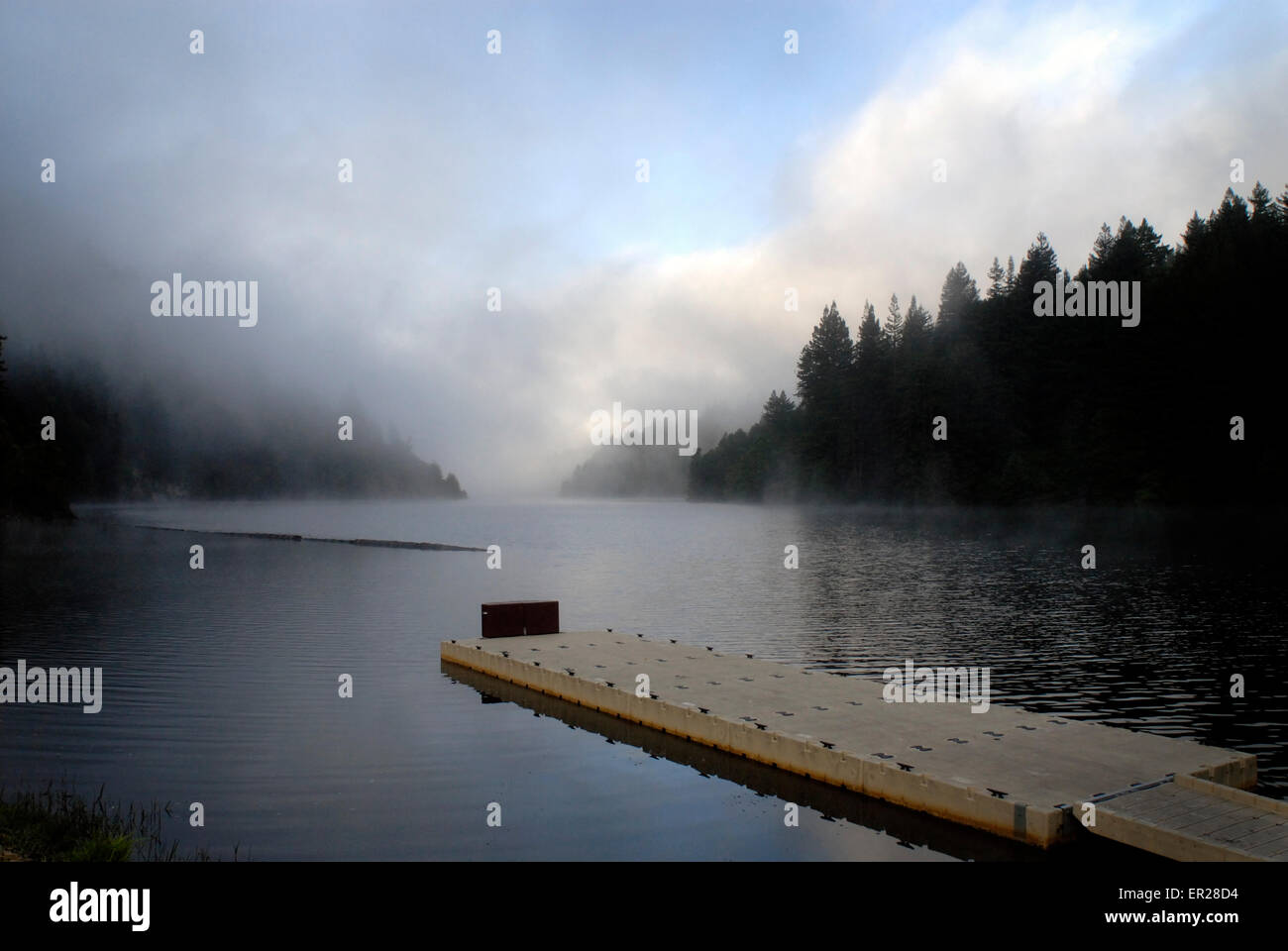 Pontile a Loch Lomond serbatoio (Santa Cruz County, California) Foto Stock